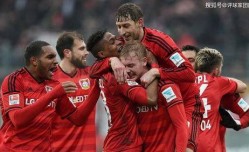 德甲 勒沃库森VS法兰克福，专家最新比分预测！